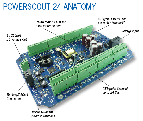 PS24E-anatomy-200